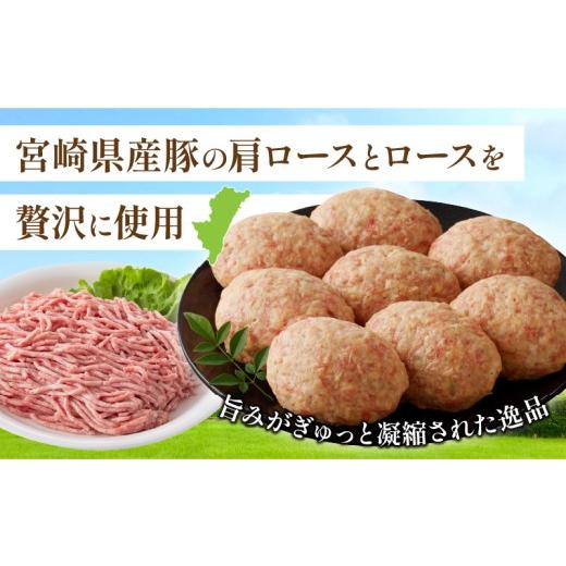 ふるさと納税 肉 ハンバーグ 宮崎県 都農町 母の日までにお届け 数量限定 宮崎県産豚プレミアムハンバーグ(計15個) 肉 豚肉 加工品 惣菜 国産_T001-0115-MA …