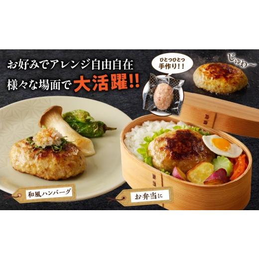 ふるさと納税 肉 ハンバーグ 宮崎県 都農町 母の日までにお届け 数量限定 宮崎県産豚プレミアムハンバーグ(計15個) 肉 豚肉 加工品 惣菜 国産_T001-0115-MA …