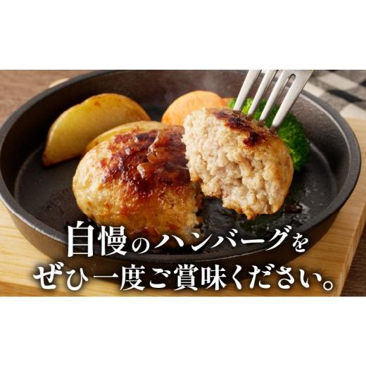 ふるさと納税 肉 ハンバーグ 宮崎県 都農町 母の日までにお届け 数量限定 宮崎県産豚プレミアムハンバーグ(計15個) 肉 豚肉 加工品 惣菜 国産_T001-0115-MA …