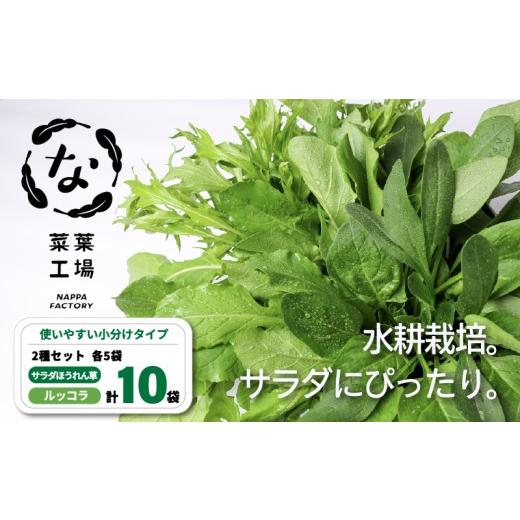 ふるさと納税 セット・詰合せ 高知県 南国市 葉野菜 2種セット サラダ ほうれん草 ルッコラ | ほうれんそう ホウレンソウ 水菜 ミズナ 生食 野菜 セット 新鮮 …