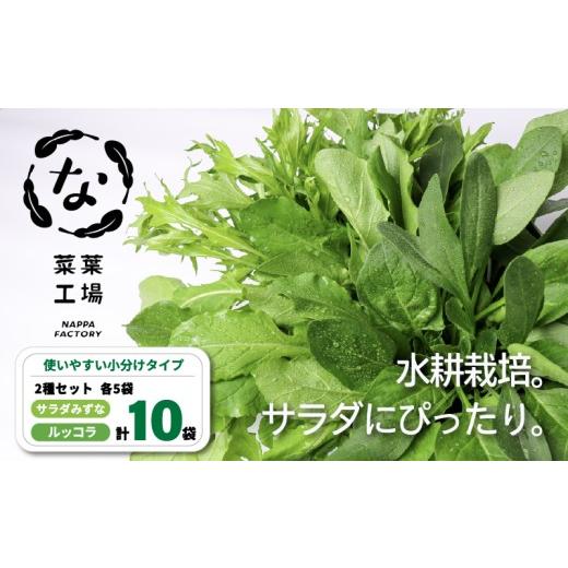 ふるさと納税 セット・詰合せ 高知県 南国市 葉野菜 2種セット サラダ みずな ルッコラ | ほうれんそう ホウレンソウ 水菜 ミズナ 生食 野菜 セット 新鮮 健康…