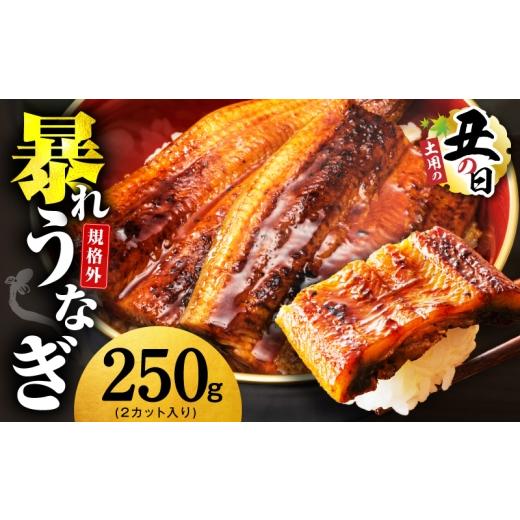 ふるさと納税 うなぎ 大阪府 泉佐野市 土用の丑の日までにお届け うなぎ 暴れ盛り 250g(2カット) 規格外 お試し 鰻 かば焼き 簡単調理 訳あり サイズ不揃い…