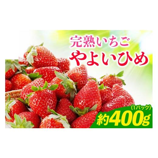 ふるさと納税 いちご 神奈川県 伊勢原市 [2027年1月中旬より順次発送]完熟いちご やよいひめ 約400g (12粒から15粒) 1パック 栗丸農園直送|先行予約 数量限…