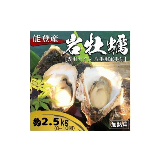 ふるさと納税 牡蠣 石川県 七尾市 能登産 岩牡蠣(2.5kgセット/8〜10個入)専用ナイフ 片手用軍手付 加熱用 冷蔵配送 2026年6月下旬〜8月上旬頃に順次発送予…