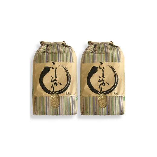 ふるさと納税 玄米 石川県 七尾市 能登半島地震復興支援 米 玄米 20kg /七尾産コシヒカリ 玄米20kg(10Kg×2袋) 2025年10月下旬頃より順次発送予定