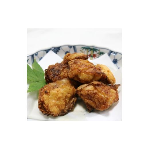 ふるさと納税 惣菜・レトルト 石川県 七尾市 天然 能登 ふぐ唐揚げ 500g×1袋 |水揚げ 真フグ 河豚 ふぐ おかず 副菜 おつまみ 肴 食品 通販 返礼品 ギフト …