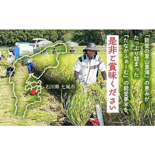 ふるさと納税 米 石川県 七尾市  発送時期が選べる 能登産にじのきらめき 能登夢米15kg（精米5kg×3袋） 2025年10月〜発送_5