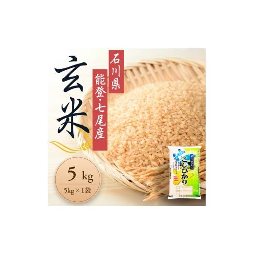 ふるさと納税 米 石川県 七尾市 発送時期が選べる 石川県能登産こしひかり玄米5kg(5kg×1個) / 米 玄米 5kg 日本初 世界農業遺産認定「能登の里山里海」の…