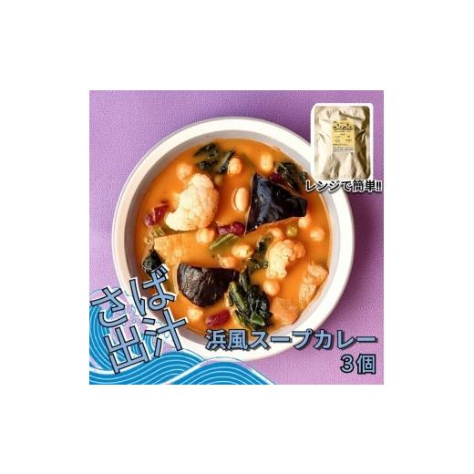ふるさと納税 惣菜・レトルト 石川県 七尾市 レンジで簡単 さば出汁のスープカレー 野菜たっぷり(3個入)