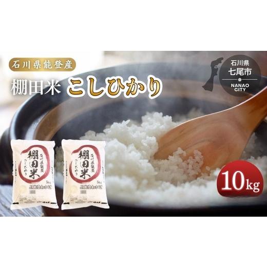 ふるさと納税 米 コシヒカリ 石川県 七尾市 令和7年産 棚田米 こしひかり10kg(5kg×2袋)米 | 世界農業遺産に認定された『能登の里山里海』で育まれたお米 …
