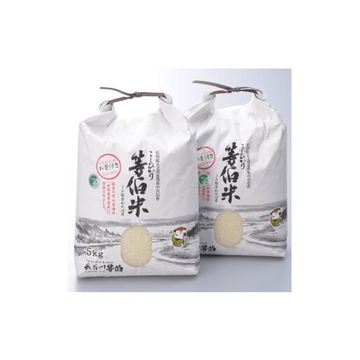 ふるさと納税 米 コシヒカリ 石川県 七尾市 令和7年産 等伯米こしひかり10kg(5kg×2袋) | 世界農業遺産に認定された『能登の里山里海』で育まれたお米 石川県…