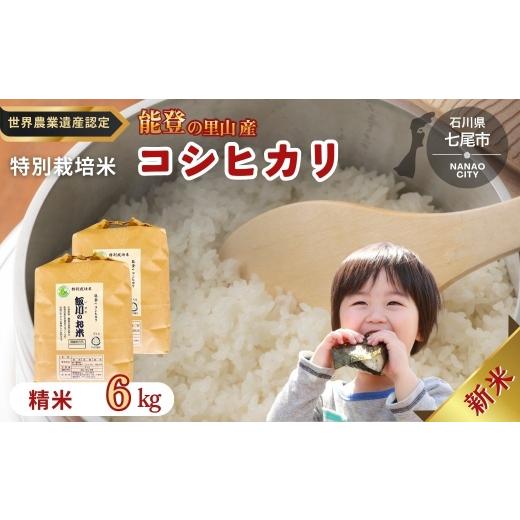 ふるさと納税 米 コシヒカリ 石川県 七尾市 能登半島地震復興支援 米 /能登のコシヒカリ 飯川のお米 6kg(精米3kg×2袋)特別栽培米 石川県 七尾市 能登 2…