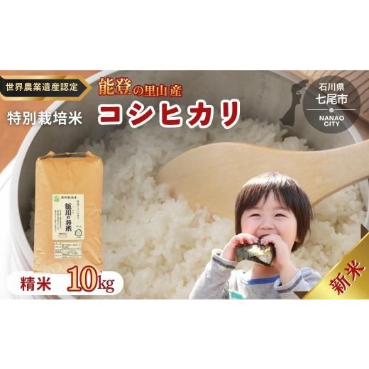 ふるさと納税 米 コシヒカリ 石川県 七尾市 米 /能登のコシヒカリ 飯川のお米 10kg(精米10kg×1袋)特別栽培米 2026年10月〜発送 石川県 七尾市