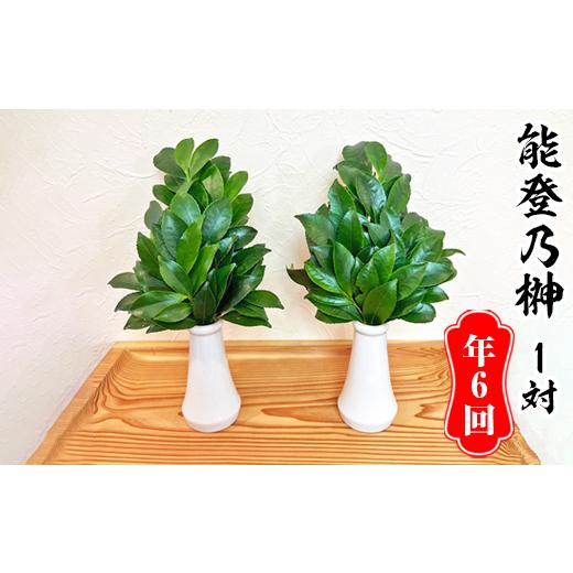ふるさと納税 花・苗木 石川県 七尾市 定期便 能登乃榊 1対 年6回(6か月間定期配送) 着日指定不可