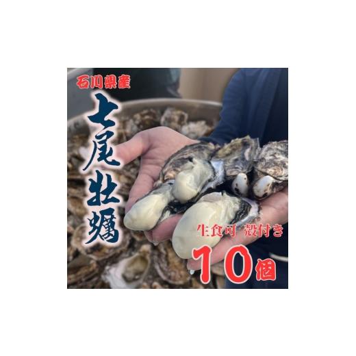 ふるさと納税 魚貝類 石川県 七尾市 七尾牡蠣10個入り 北海道・沖縄・離島への配送不可 2026年5月上旬頃より順次発送予定