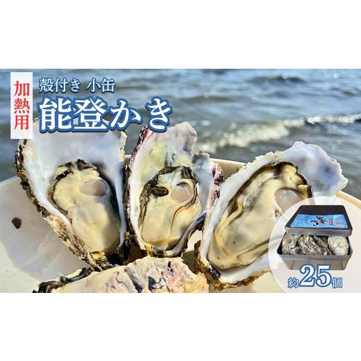 ふるさと納税 魚貝類 石川県 七尾市 能登かき 殻付き小缶(加熱用) 北海道・沖縄・離島への配送不可 2027年1月〜発送