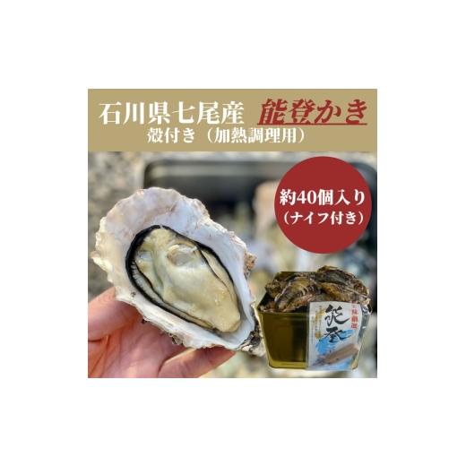 ふるさと納税 牡蠣 石川県 七尾市 石川県七尾産 能登かき 殻付き 半缶(約40個) 北海道・沖縄・離島への配送不可 2025年12月上旬〜2026年5月下旬頃に順次発送…
