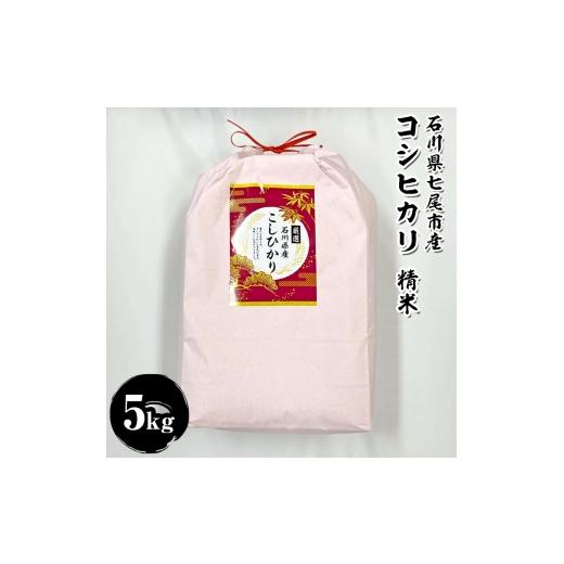 ふるさと納税 米 石川県 七尾市 石川県七尾市産 コシヒカリ 精米 5Kg 2025年12月下旬〜2026年5月下旬頃に順次発送予定