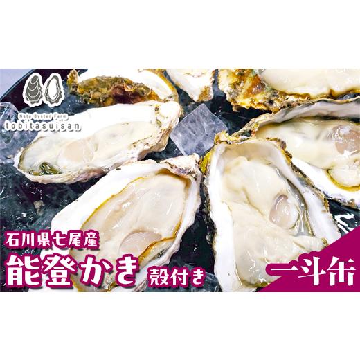 ふるさと納税 魚貝類 石川県 七尾市 飛田水産 石川県七尾産 能登かき 殻付き一斗缶|牡蠣 専用ナイフ 牡蠣 かき カキ 能登の里山里海 石川県七尾市 能登半…