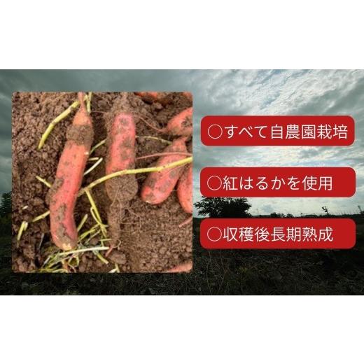 ふるさと納税 野菜類 サツマイモ 新潟県 三条市 ＊先行予約＊ 堀川農園 芋と1／2 壺焼き蜜芋 冷凍 017S166の画像