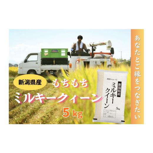 ふるさと納税 米 ミルキークイーン 新潟県 阿賀野市 新潟県阿賀野市産 ミルキークィーン 5kg 圓縁ふぁーむ 白米 精米 米 こめ コメ 3D15015