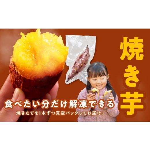 ふるさと納税 野菜類 サツマイモ 大阪府 泉佐野市 干し芋 300g＆焼き芋1kgセット ほしいも 芋 いも 無添加 紅はるか 干しいも おやつ サツマイモ さつまいもの画像