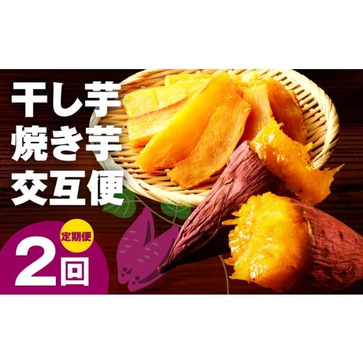ふるさと納税 野菜類 サツマイモ 大阪府 泉佐野市  定期便 干し芋 600g／焼き芋1kg 全2回 交互便 ほしいも 芋 いも 無添加 紅はるか 干しいも おやつ サツマイ…の画像