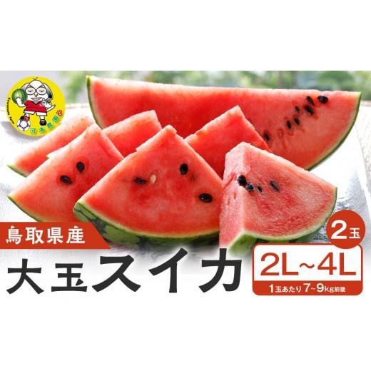 ふるさと納税 スイカ 鳥取県 北栄町 先行予約 鳥取県北栄町産 大玉スイカ(2玉セット)1玉あたり7-9キロ前後2L-4Lサイズ(こちらの返礼品は、大栄西瓜ではあり…