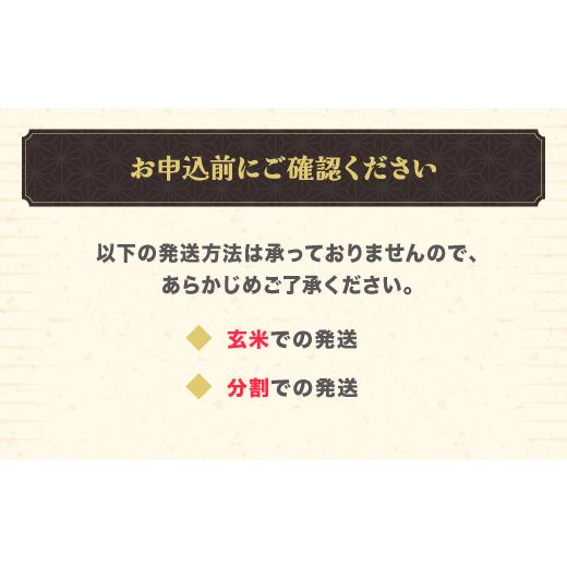 ふるさと納税 米 山形県 尾花沢市 令和7年産 精米 雪若丸 27kg 27kg×1袋 8月下旬発送 kk-ywsxa27-8s 令和8年8月下旬発送の画像