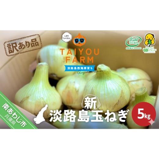 ふるさと納税 野菜類 玉ねぎ 兵庫県 南あわじ市 訳あり品 淡路島産新玉ねぎ 5kg 配送2月〜5月 新玉ねぎ 5kg