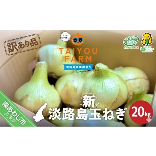 ふるさと納税 野菜類 玉ねぎ 兵庫県 南あわじ市 訳あり品 淡路島産新玉ねぎ 20kg  配送２月〜５月 新玉ねぎ 20kgの画像