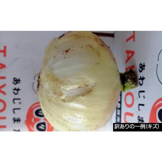 ふるさと納税 野菜類 玉ねぎ 兵庫県 南あわじ市 訳あり品 淡路島産新玉ねぎ 20kg  配送２月〜５月 新玉ねぎ 20kgの画像