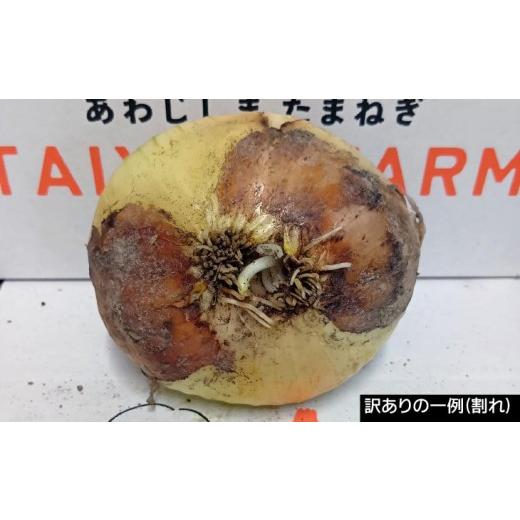 ふるさと納税 野菜類 玉ねぎ 兵庫県 南あわじ市 訳あり品 淡路島産新玉ねぎ 20kg  配送２月〜５月 新玉ねぎ 20kgの画像