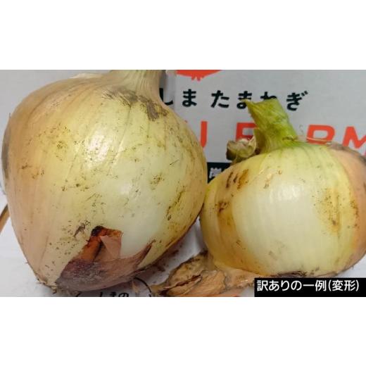 ふるさと納税 野菜類 玉ねぎ 兵庫県 南あわじ市 訳あり品 淡路島産新玉ねぎ 20kg  配送２月〜５月 新玉ねぎ 20kgの画像
