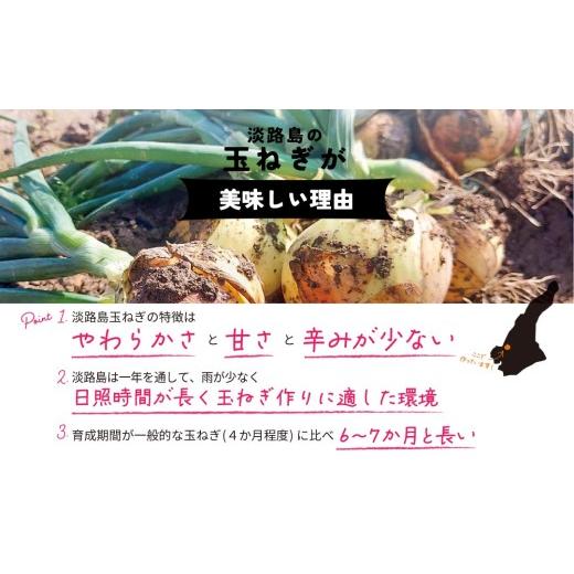 ふるさと納税 野菜類 玉ねぎ 兵庫県 南あわじ市  完熟玉ねぎ予約 訳あり品 淡路島産完熟玉ねぎ 10kg  配送６月〜翌年１月 訳あり 10kgの画像