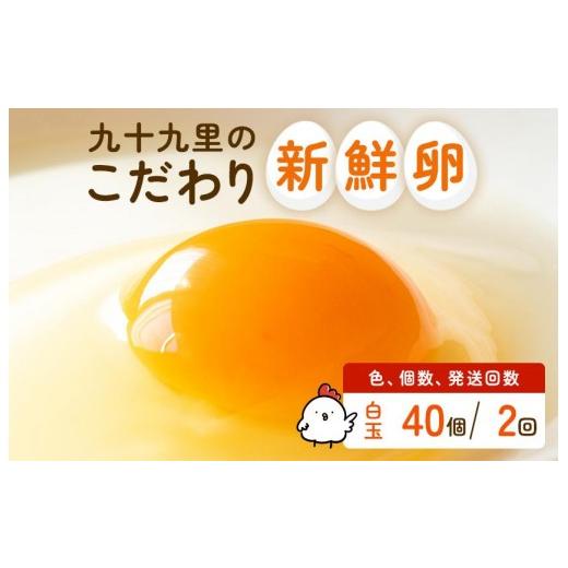 ふるさと納税 卵(鶏、烏骨鶏等) 千葉県 匝瑳市 定期便2回 九十九里ファームこだわりたまご贈答用 40個 〜あおい海・みどりの里〜[白玉] たまご 卵 玉子 …