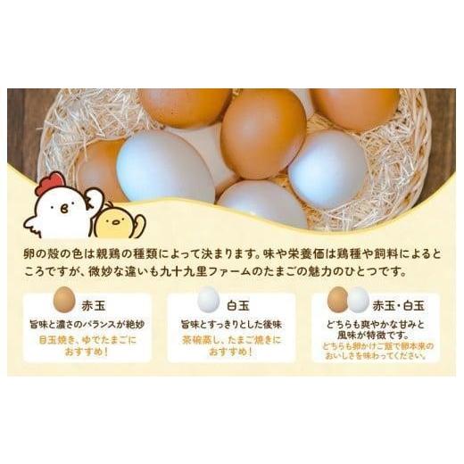 ふるさと納税 卵（鶏、烏骨鶏等） 千葉県 匝瑳市 定期便5回 九十九里ファームこだわりたまご贈答用 40個 〜あおい海・みどりの里〜《白玉》 たまご 卵 玉子 …_2