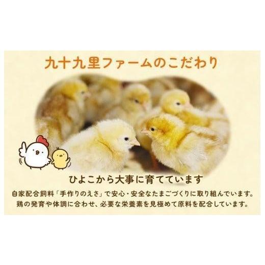 ふるさと納税 卵（鶏、烏骨鶏等） 千葉県 匝瑳市 定期便5回 九十九里ファームこだわりたまご贈答用 40個 〜あおい海・みどりの里〜《白玉》 たまご 卵 玉子 …_3