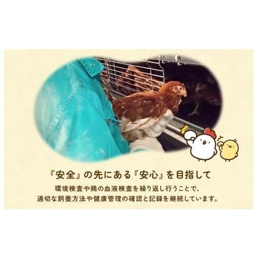 ふるさと納税 卵（鶏、烏骨鶏等） 千葉県 匝瑳市 定期便5回 九十九里ファームこだわりたまご贈答用 40個 〜あおい海・みどりの里〜《白玉》 たまご 卵 玉子 …_4