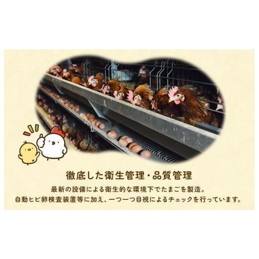 ふるさと納税 卵（鶏、烏骨鶏等） 千葉県 匝瑳市 定期便5回 九十九里ファームこだわりたまご贈答用 40個 〜あおい海・みどりの里〜《白玉》 たまご 卵 玉子 …_5