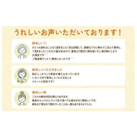 ふるさと納税 卵（鶏、烏骨鶏等） 千葉県 匝瑳市 定期便5回 九十九里ファームこだわりたまご贈答用 40個 〜あおい海・みどりの里〜《白玉》 たまご 卵 玉子 …_6