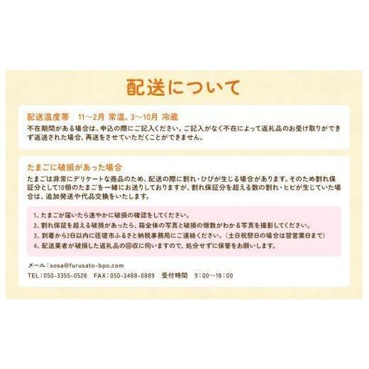 ふるさと納税 卵（鶏、烏骨鶏等） 千葉県 匝瑳市 定期便5回 九十九里ファームこだわりたまご贈答用 40個 〜あおい海・みどりの里〜《白玉》 たまご 卵 玉子 …_7