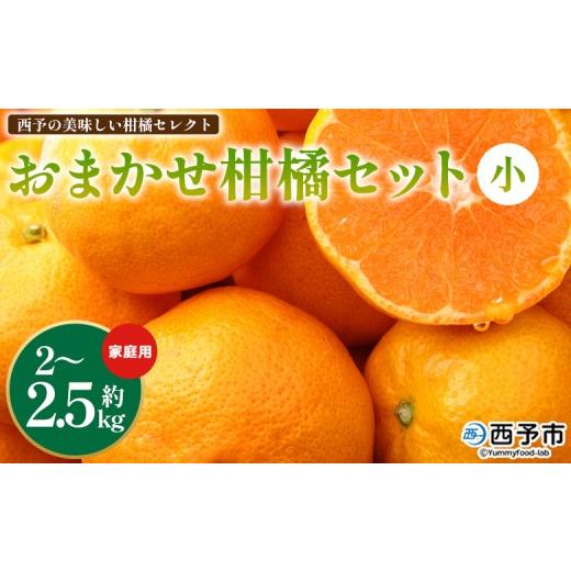 ふるさと納税 みかん・柑橘類 愛媛県 西予市 西予の美味しい柑橘セレクト(ご家庭用)/おまかせ柑橘セット(小)約2〜2.5kg 2026年4月に順次発送 果物 くだ…