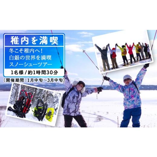 ふるさと納税 体験チケット 北海道 稚内市 冬こそ稚内へ 白銀の世界を満喫 スノーシューツアー1名様