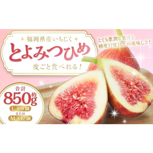 ふるさと納税 いちじく 福岡県 香春町 皮ごと食べれる とよみつひめ 850g前後 2026年7月下旬〜9月上旬発送予定 いちじく 無花果 果汁 糖度 ビタミン ペクチン …