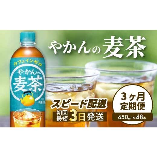 ふるさと納税 お茶類 広島県 三原市 3か月定期便 やかんの麦茶 from 爽健美茶 PET 650ml×48本(2ケース) 最短3日発送 ペットボトル お茶 むぎ茶 飲料 カフェ…