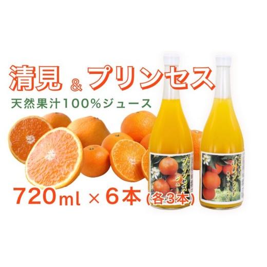 ふるさと納税 果汁飲料 みかん 愛媛県 愛南町 清見ブレンドジュース プリンセスジュース ストレート 各720ml × 3本 6本セット 中山農園 みかん 蜜柑 清見 プ…