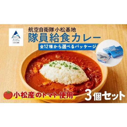 ふるさと納税 加工品等 レトルト 石川県 小松市 航空自衛隊 小松基地 隊員給食カレー 選べるパッケージ 3個セット 航空機 トマトカレー ギフト | 石川県 小松…