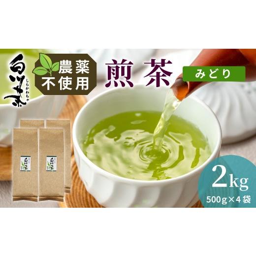ふるさと納税 お茶類 緑茶（茶葉・ティーバッグ） 岐阜県 東白川村 農薬不使用 煎茶 みどり 2kg (500g×4袋) 常磐園 白川茶 美濃白川茶 日本茶 緑茶 煎茶 茶葉…_1