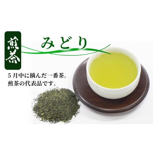 ふるさと納税 お茶類 緑茶（茶葉・ティーバッグ） 岐阜県 東白川村 農薬不使用 煎茶 みどり 2kg (500g×4袋) 常磐園 白川茶 美濃白川茶 日本茶 緑茶 煎茶 茶葉…_6